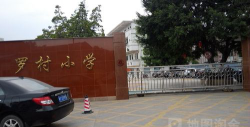 罗村小学环境