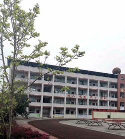 乐山市市中区罗汉初级中学环境