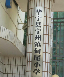 华宁县宁州镇甸尾小学环境