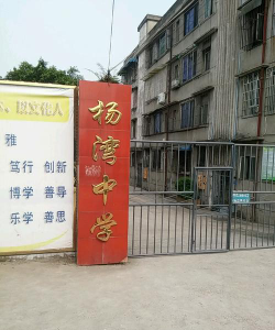 乐山市市中区杨湾初级中学环境
