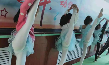 灵台县艺佳艺术培训学校有限公司环境