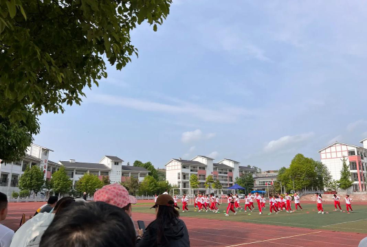 武胜县龙女镇青岩学校环境
