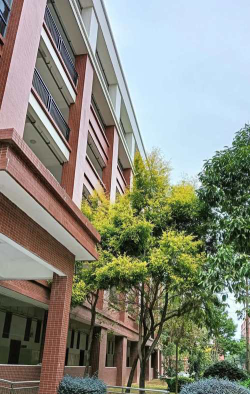 高坪区松林中学环境