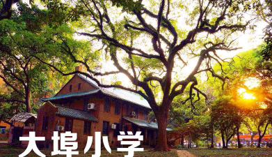 元善镇大埠小学环境