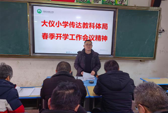 武阳镇大仪小学环境