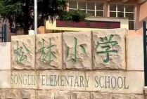 三江镇松林小学环境
