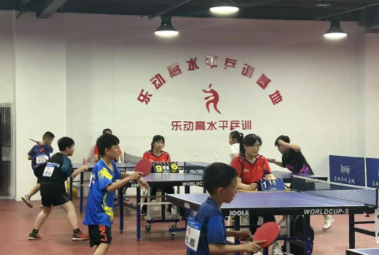 府谷县乐动乒乓球培训有限责任公司环境