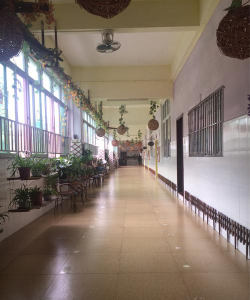 东莞市虎门新湾小花蕾幼儿园环境