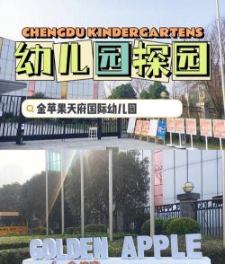 成都金苹果国际幼稚园全托中心环境