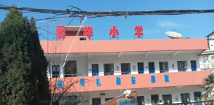 爱华小学环境