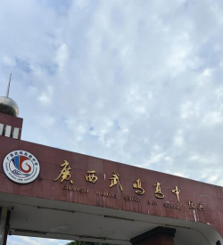 武鸣县武鸣中学环境