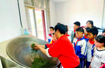 高垅小学环境