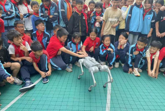 镇沅县按板镇中心小学环境