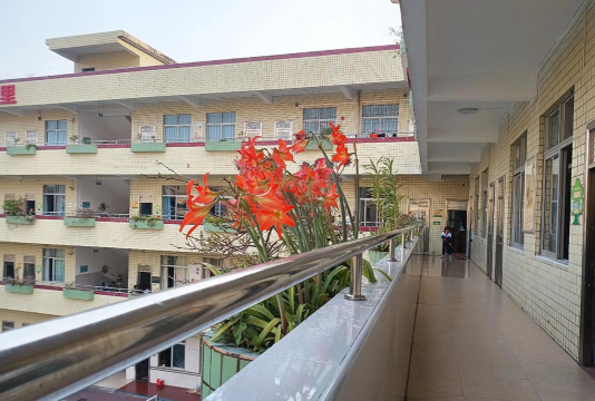 田中小学环境