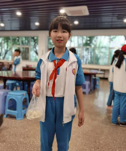西坑中心小学环境