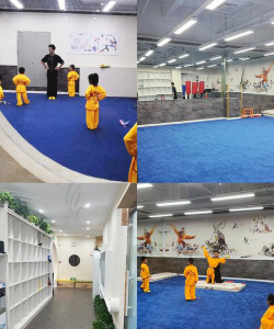 娄底市娄星区精武艺术培训学校有限公司环境