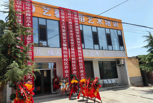 连平县馨艺舞蹈艺术有限公司环境