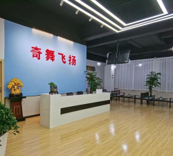 龙里县奇舞飞扬舞蹈培训学校有限责任公司环境