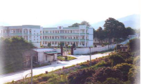 浮滨镇中心小学环境