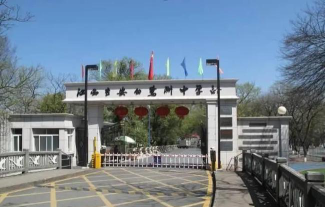 白洲中学环境