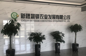 尼勒克县致枫树培训中心有限责任公司环境