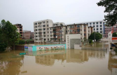 来宾市兴宾区第三中学环境