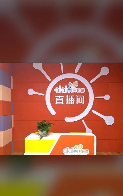 建平县叶柏寿阿拉蕾口才表演培训班环境