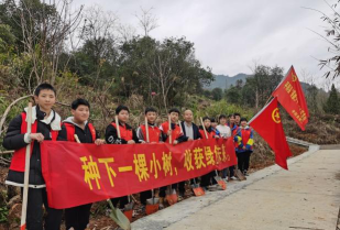 平阳县南雁镇中学环境