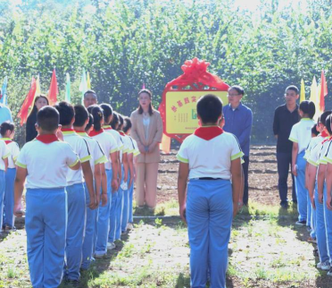 姜疃镇姜疃中心小学环境