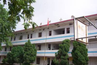 洋洲勤光小学环境