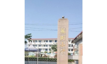 凤江镇凤湖小学环境