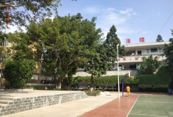 元谋县物茂乡中心完小环境