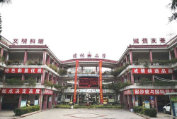 东莞市万江琼林小学环境