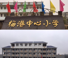 梅港中心小学环境