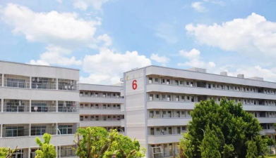 河源市源城区特蕾新幼儿园环境