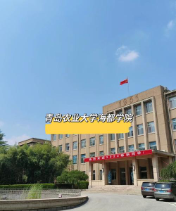 青岛农业大学海都学院环境
