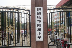 肥城师范学校附属小学环境