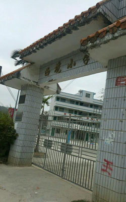 龙南县临塘乡西坑小学环境