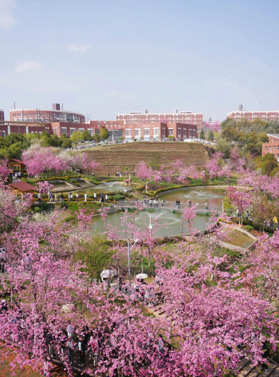 滇池学院环境