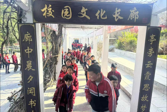 虎山镇第一小学环境