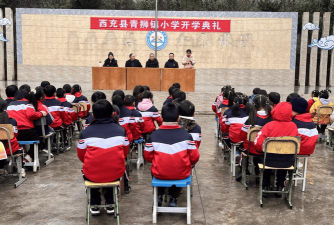 西充县青狮镇小学环境