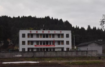 西充县岱林乡小学环境