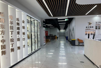 阜阳市颍泉区舞林星艺术培训中心有限公司环境