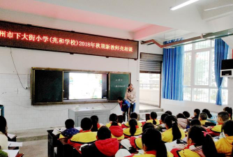 龙马潭区下大街小学环境