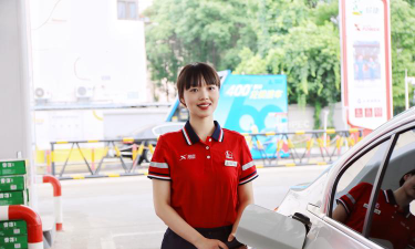 潞西市小叮环境