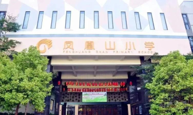 深圳市平湖凤凰山小学环境