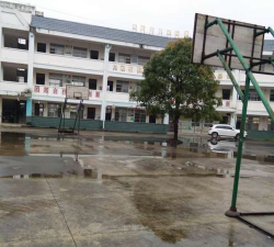 太平镇桥坝村小环境