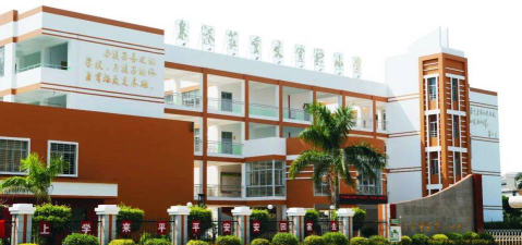 泉港区庄重文实小学环境