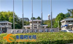 东莞市南开实验学校(小学部)环境