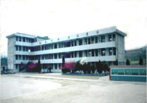 苍溪县白桥镇中心小学校环境